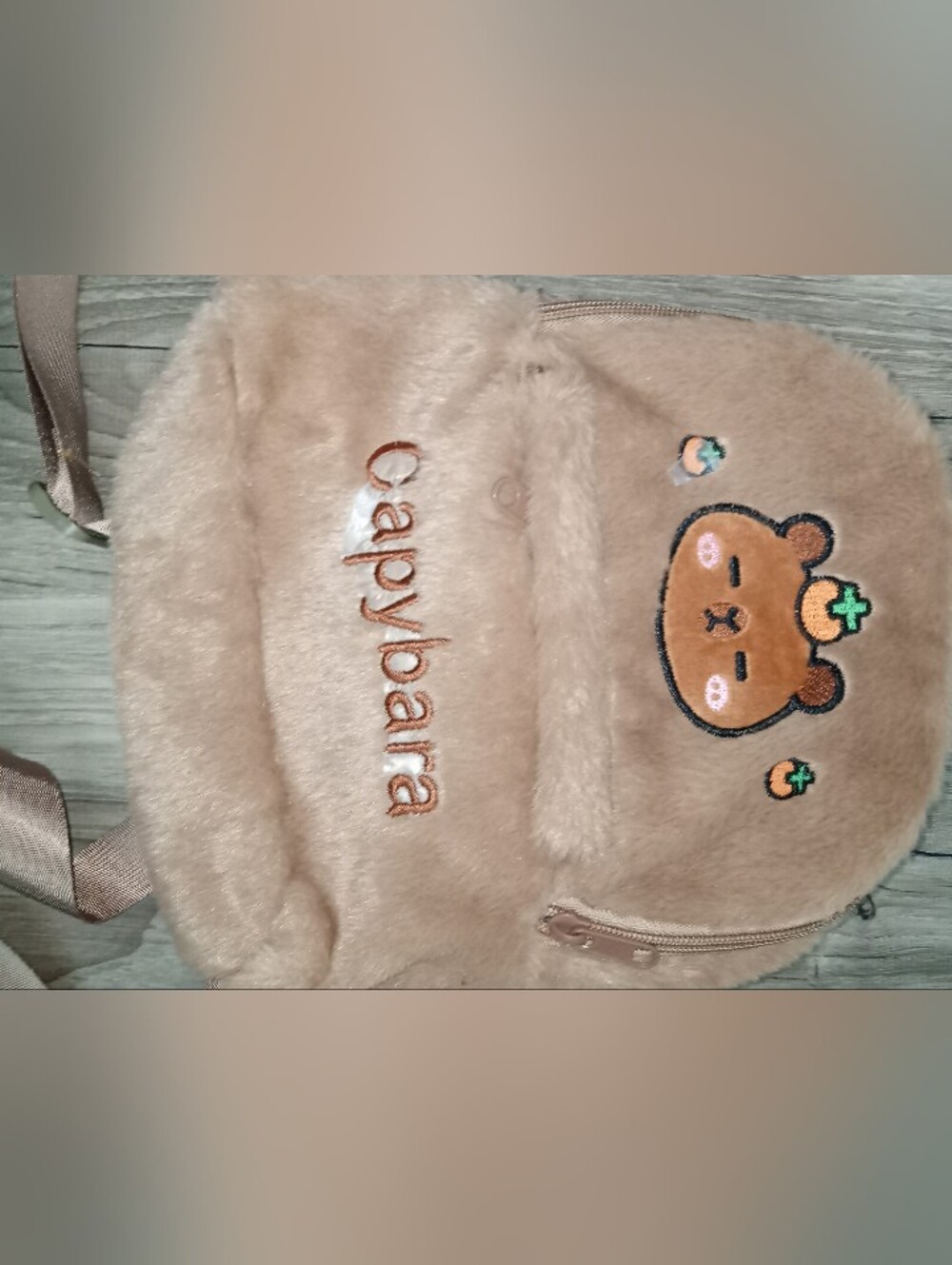 Capybara Plush Kids Backpack - Light Brown Cute Bear Design And Water Bottle - Picture 2 of 6